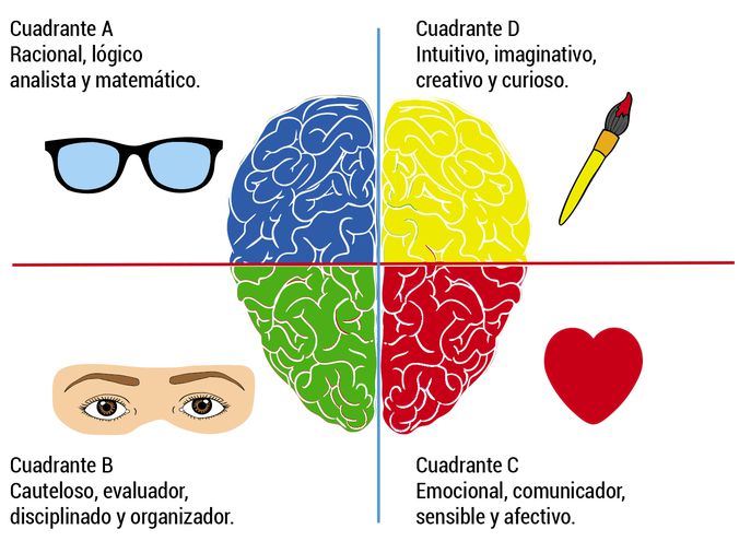 Cuadrante cerebral