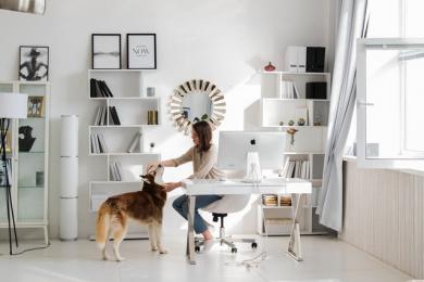 Trabajo en casa